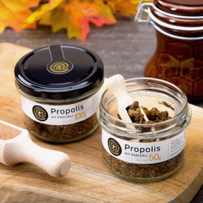 Ziołomiód z Korzenia Mniszka Lekarskiego 1kg