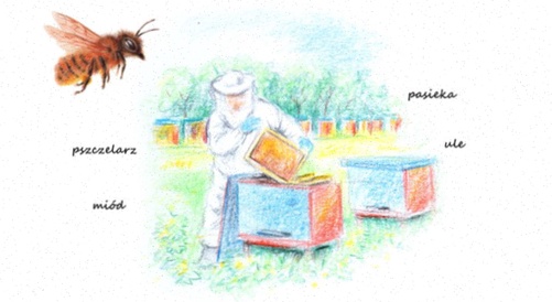 Ziołomiód z Nagietka 1kg