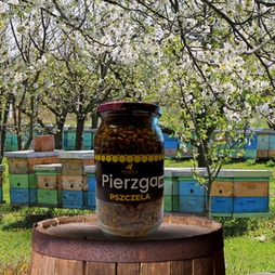 Mleczko Pszczele,Pyłek Kwiatowy i Propolis  w  Miodzie