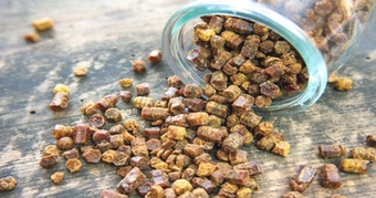 Miód Leśny ze Spadzią 7kg