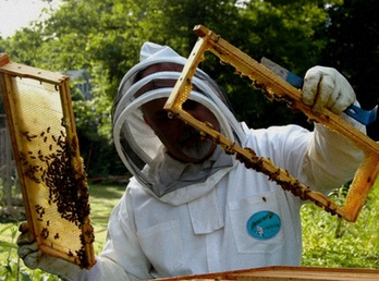 Miód Malinowy 1.1kg