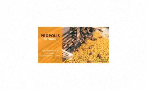 Miód Rzepakowy 1.1kg