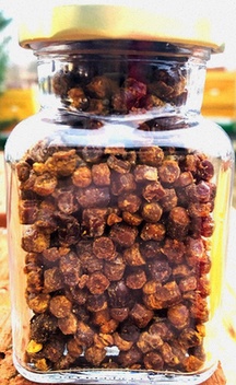 Miód Mniszkowy z Ziół Mniszka Lekarskiego 1.1kg