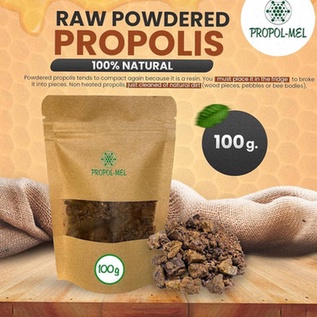 Pierzga i Mleczko Pszczele w Miodzie Leśnym 1kg