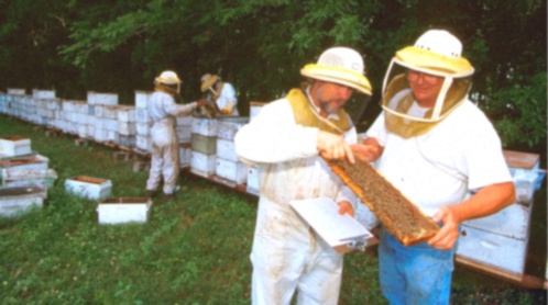 Propolis Ekstrakt Bezalkoholowy 100ml na m-c